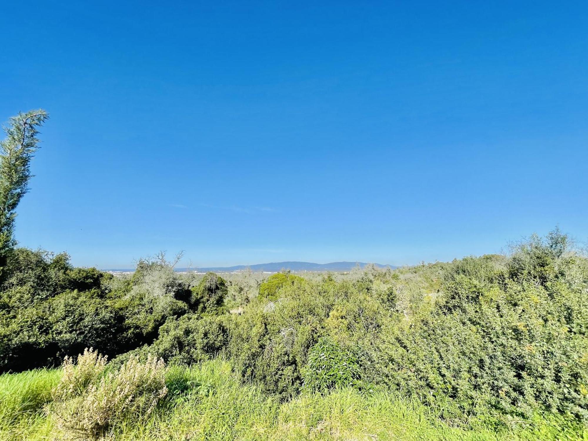Lavanda - 2 Bedrooms - 3 Level Pool - Garden - Beach 1Km エストンバル エクステリア 写真